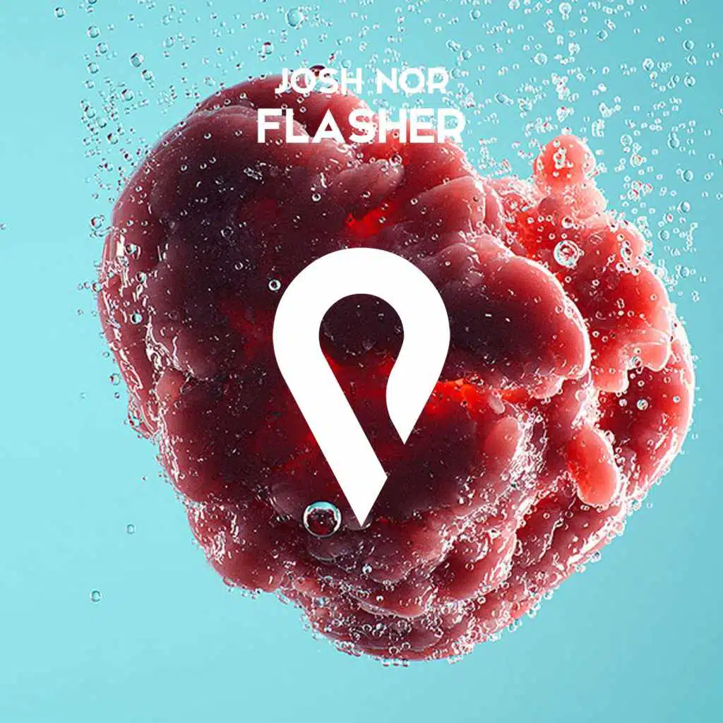 Flasher (Radio Edit)