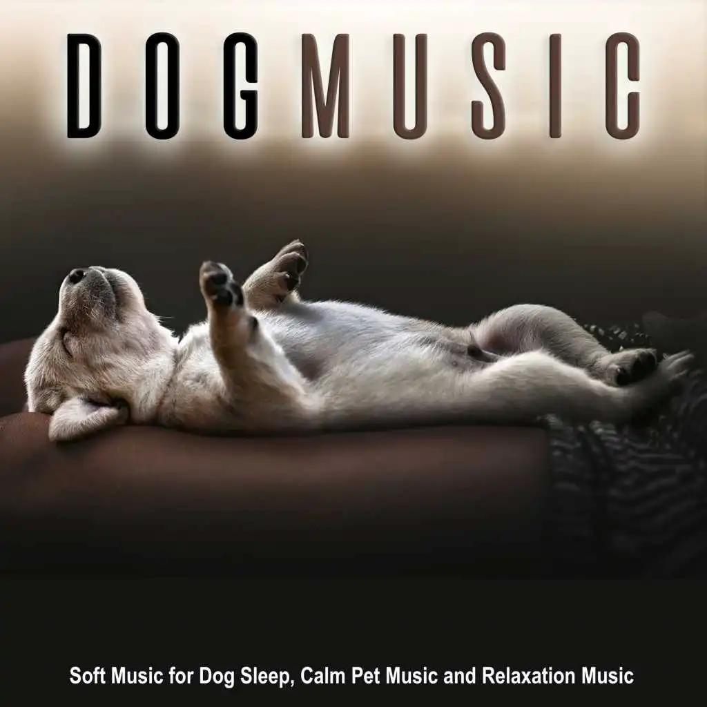 Dog Music and Soothing Guitar