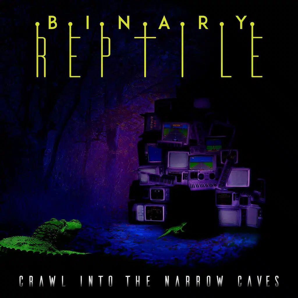 Binary Reptile