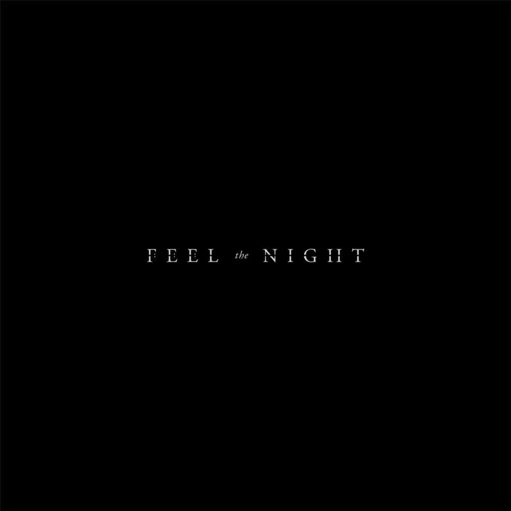 Feel the Night