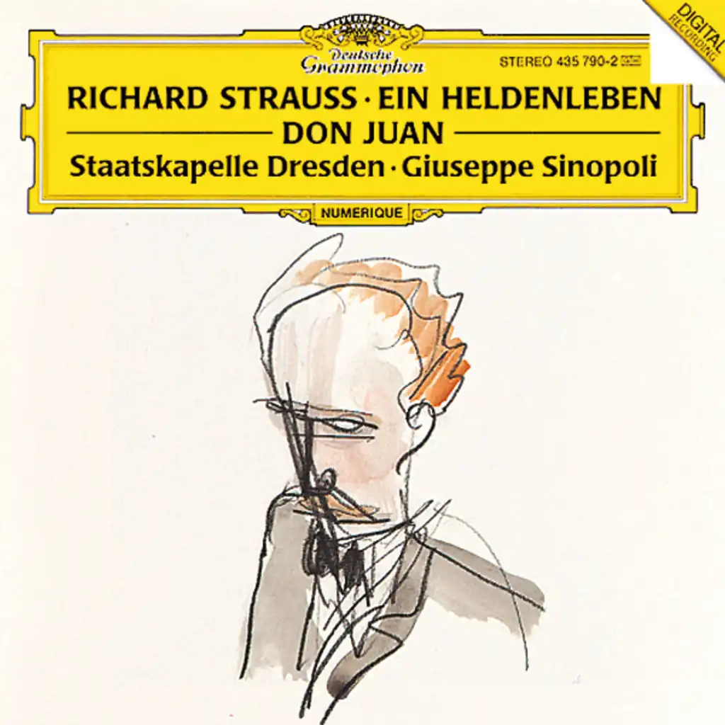 Strauss, R.: Ein Heldenleben, Op.40; Don Juan, Op.20