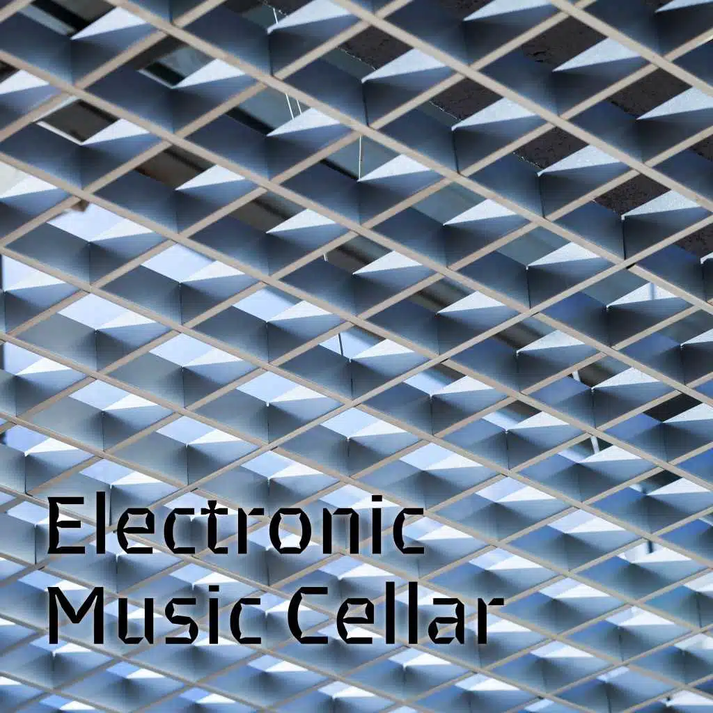 Electronic Music Cellar