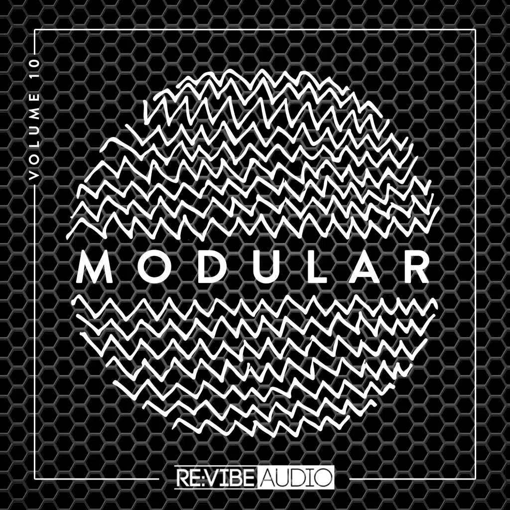 Modular, Vol. 10