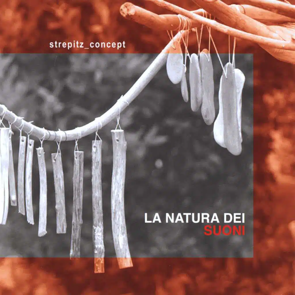 La Natura dei Suoni