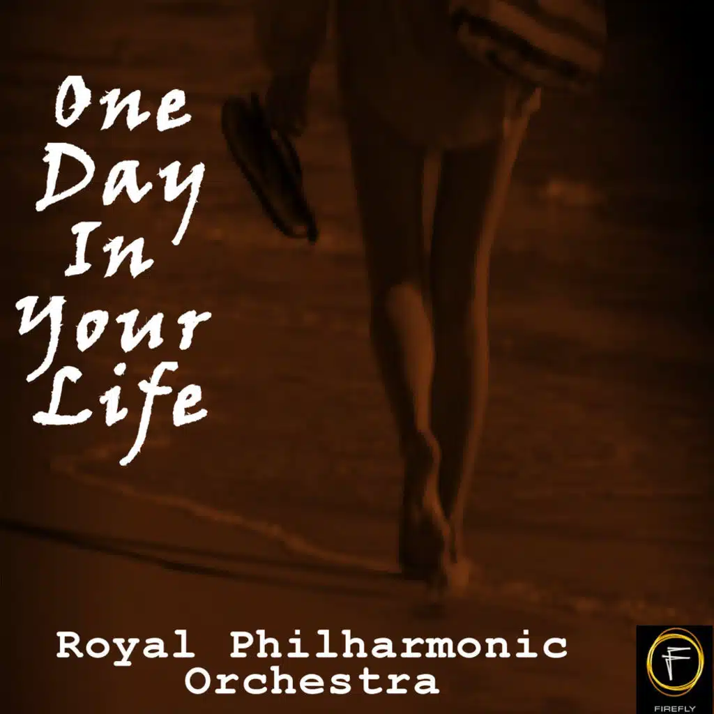 One Day In Your Life