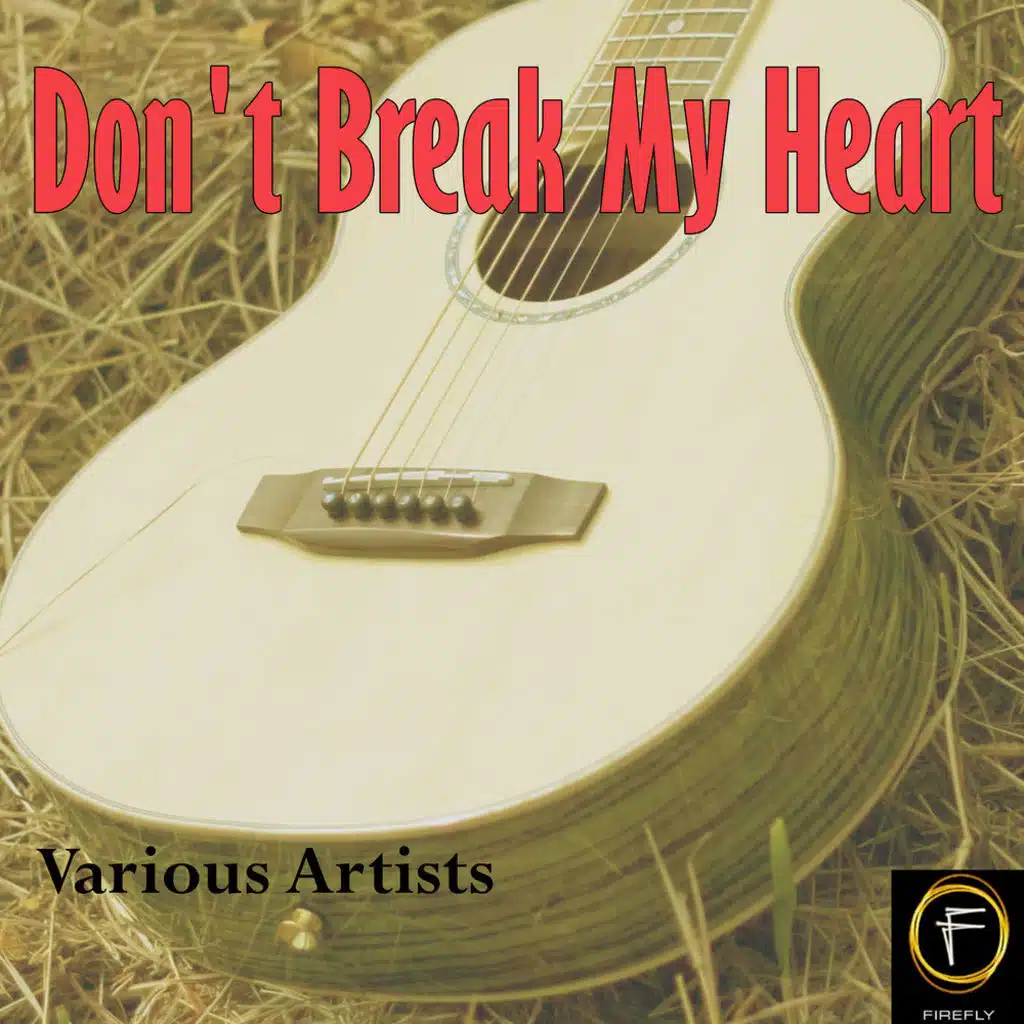 Don't Break My Heart