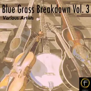 Blue Grass Breakdown, Vol. 3