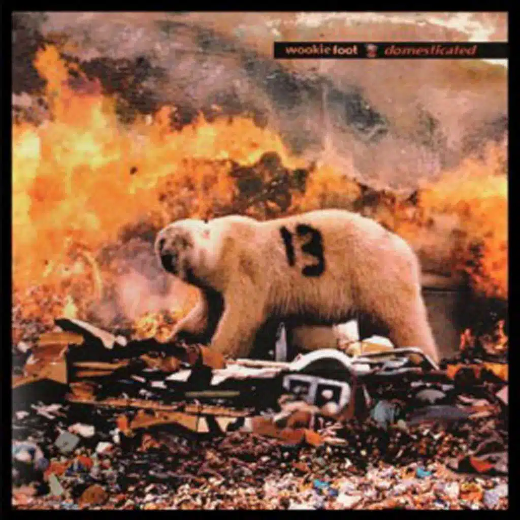 Domesticated: The Story of Nothing and the Monkey