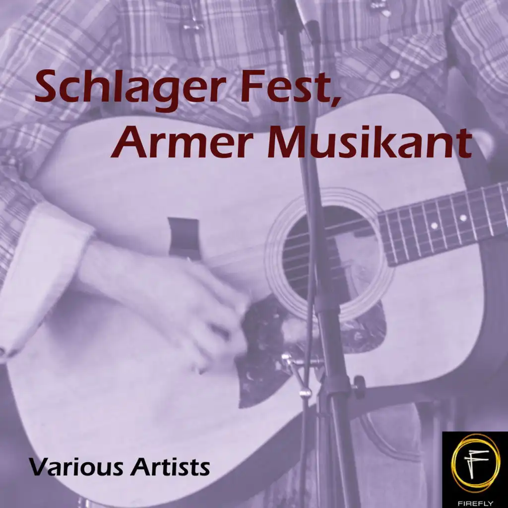 Schlager Fest, Armer Musikant