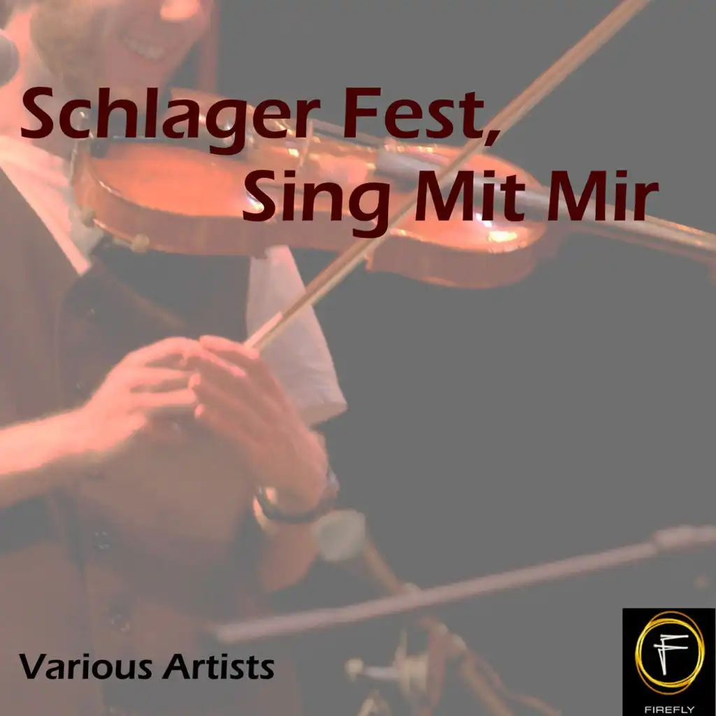 Schlager Fest, Sing Mit Mir