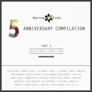 Spring Tube 5th Anniversary Compilation, Pt. 3 (Compiled and Mixed by Stephen J. Kroos)