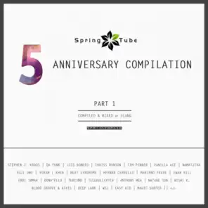 Spring Tube 5th Anniversary Compilation, Pt. 1 (Compiled and Mixed by DJ Slang)