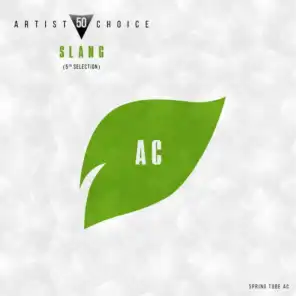 Artist Choice 050. DJ Slang (5th Selection)