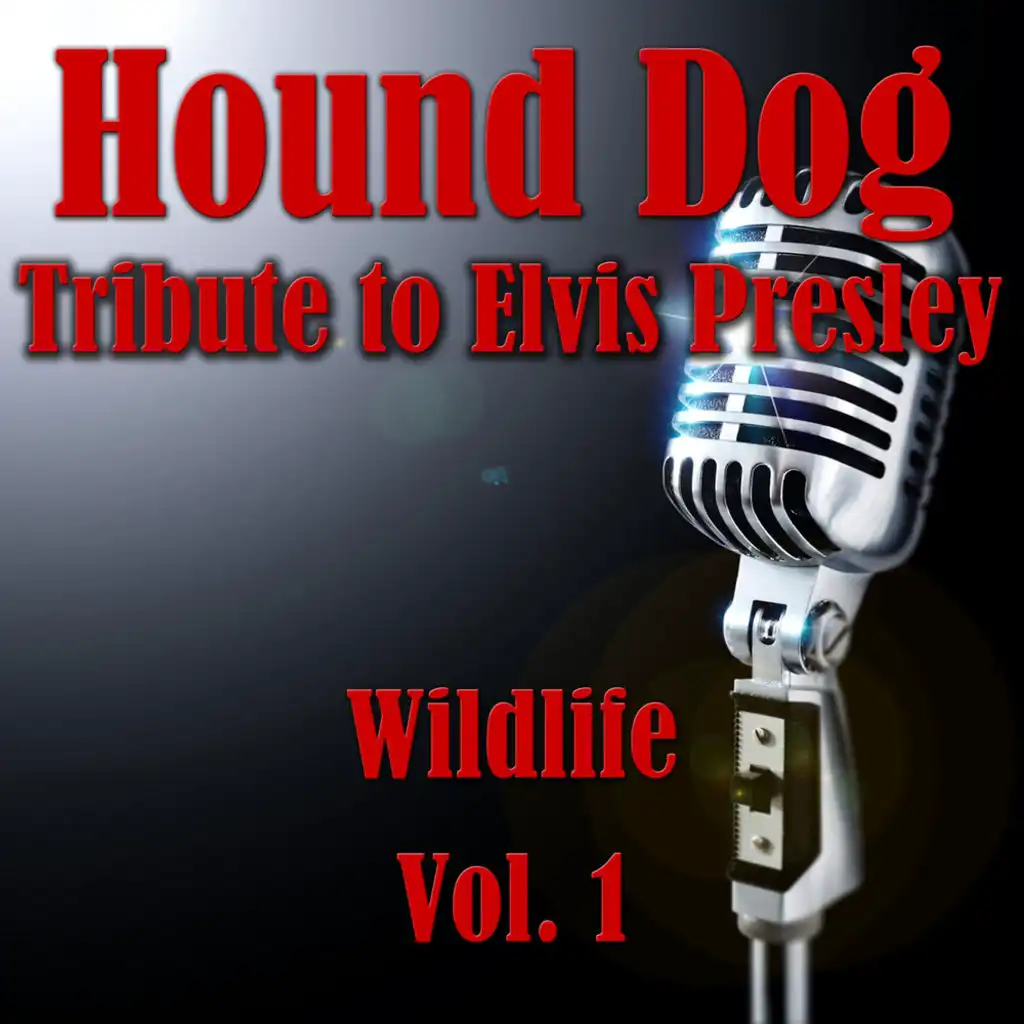 Hound Dog- Tribute to Elvis Presley, Vol. 1