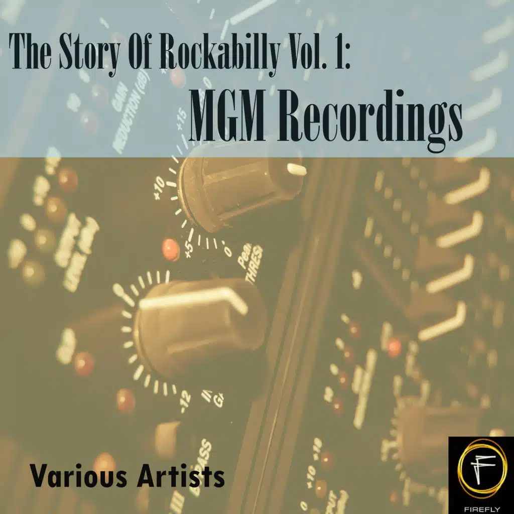 The Story Of Rockabilly, Vol. 1: MGM Recordings
