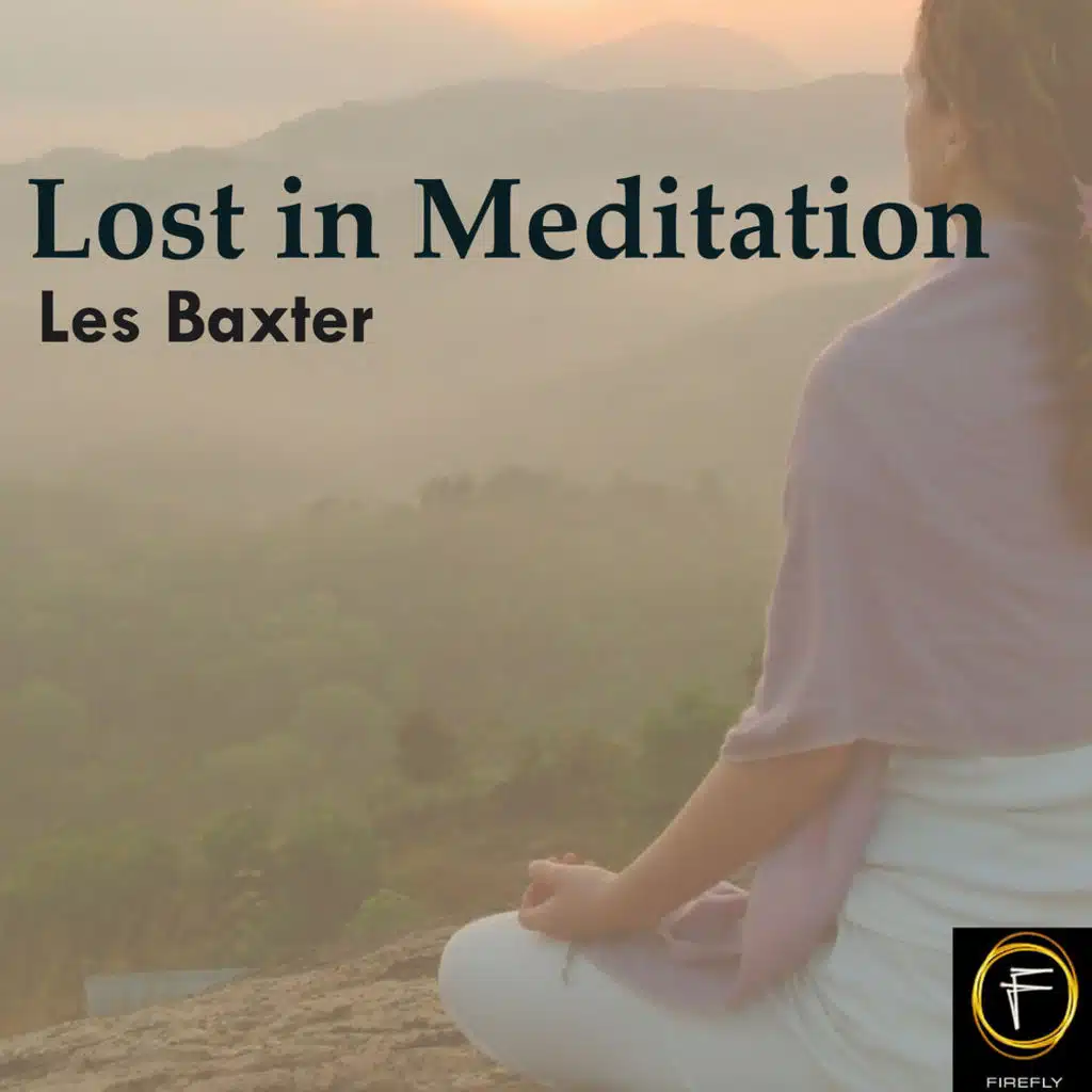 Lost in Meditation