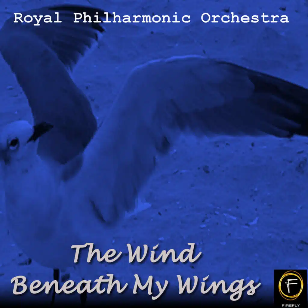 The Wind Beneath My Wings