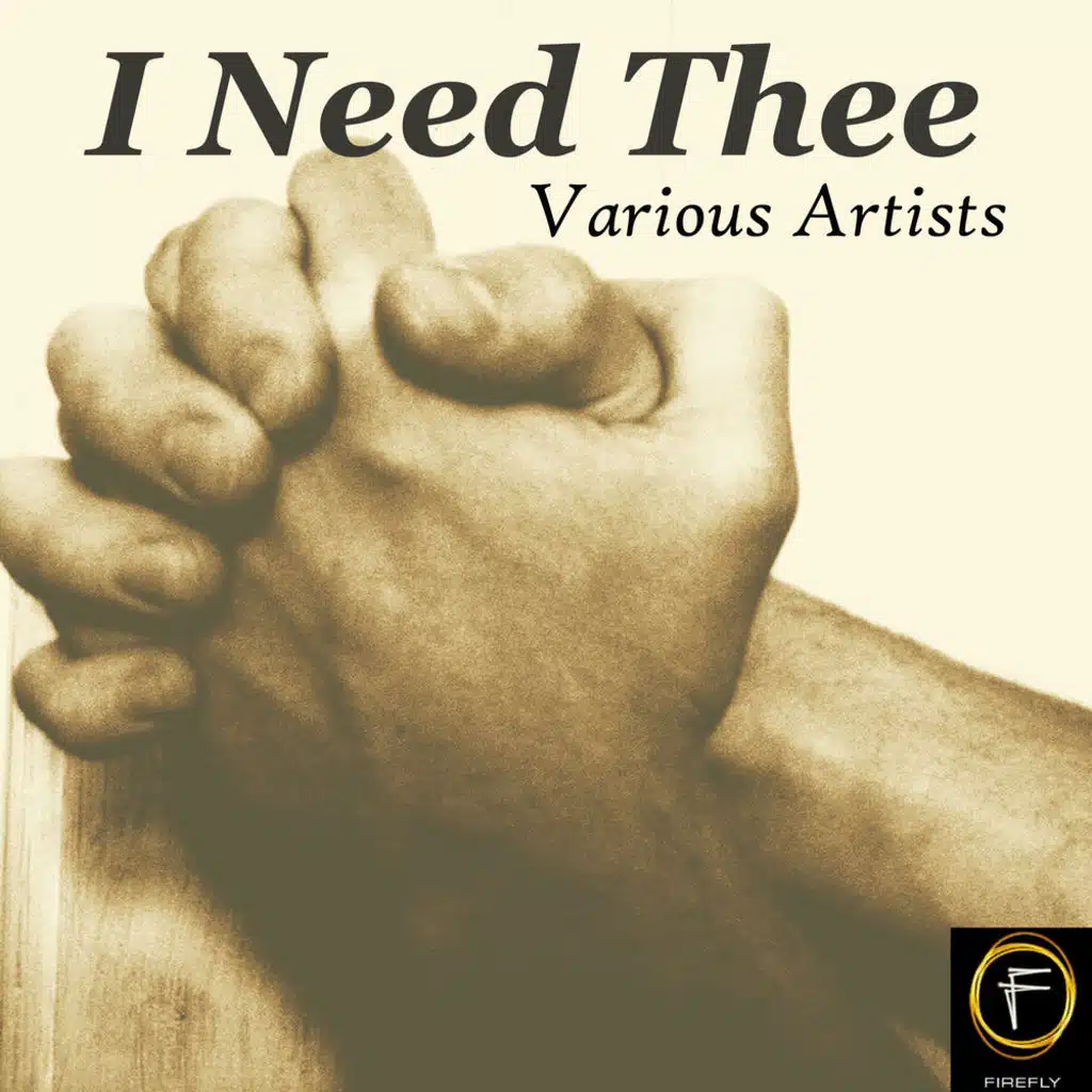 Two Wings Flying Home