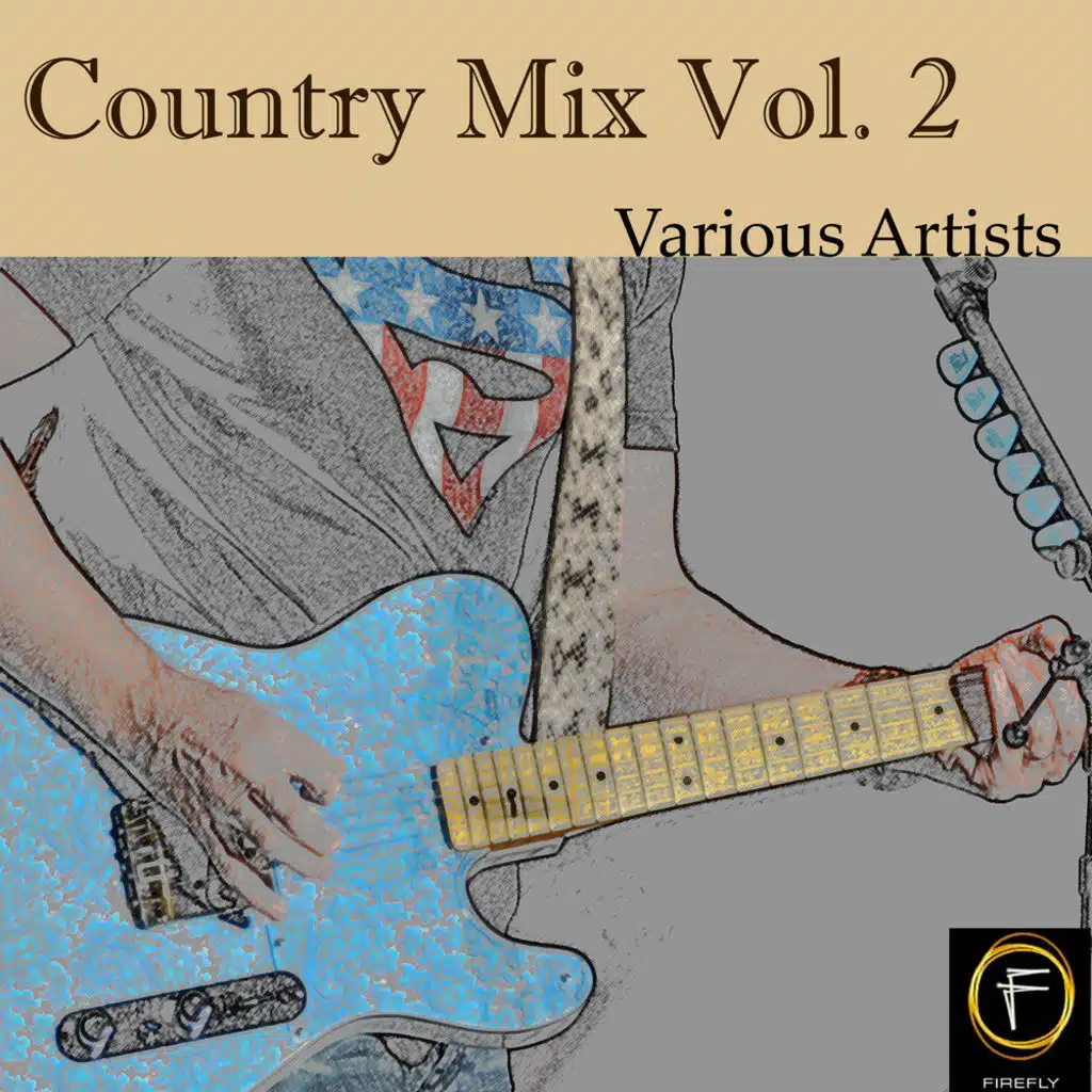 Country Mix, Vol. 2