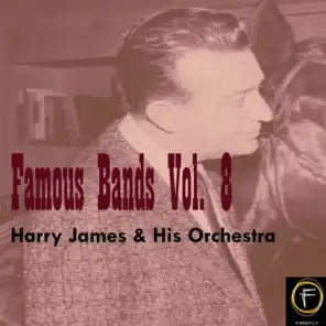 Famous Bands, Vol. 8