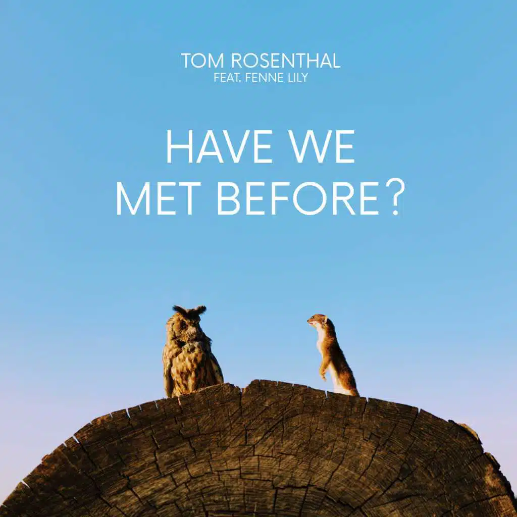 Have We Met Before? (feat. Fenne Lily)