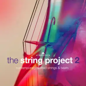 The String Project 2