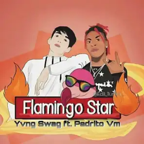 Flamingo Star (feat. Pedrito Vm)