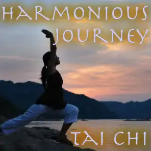 Harmonious Journey