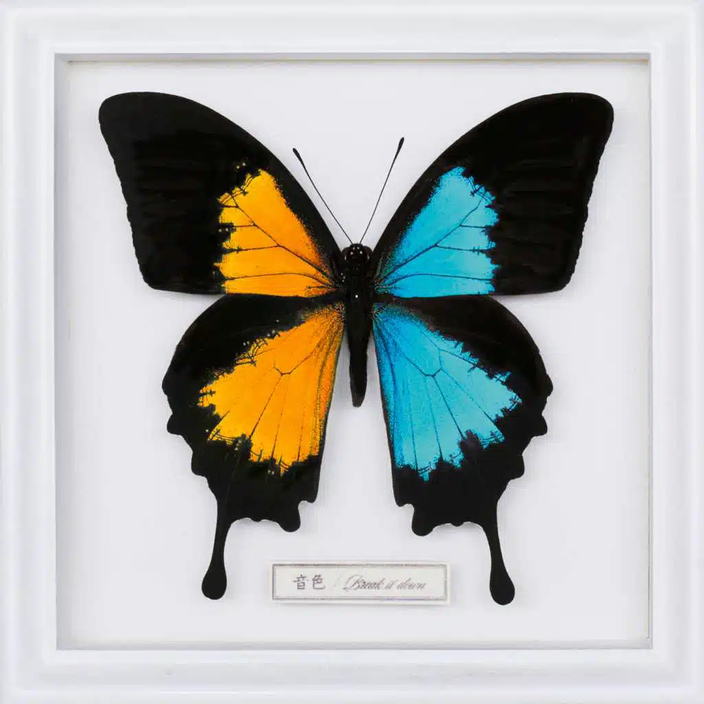 Go!!! (Live FLOW 15th Anniversary Tour 2018 Anime Shibari at Toyosu Pit, 2018.7.1)