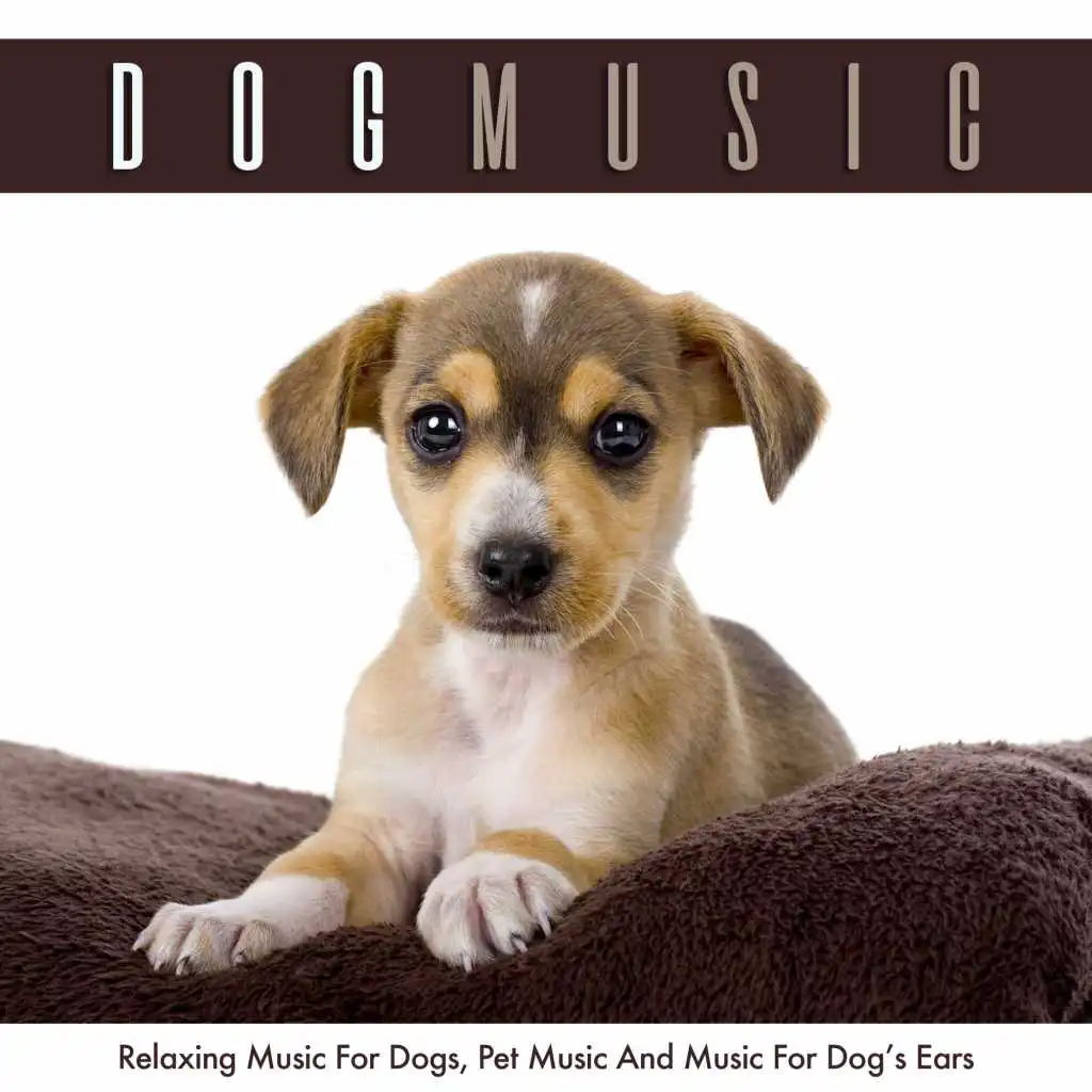 Dog Music: Relaxing Music For Dogs, Pet Music and Music for Your Dog’s Ears