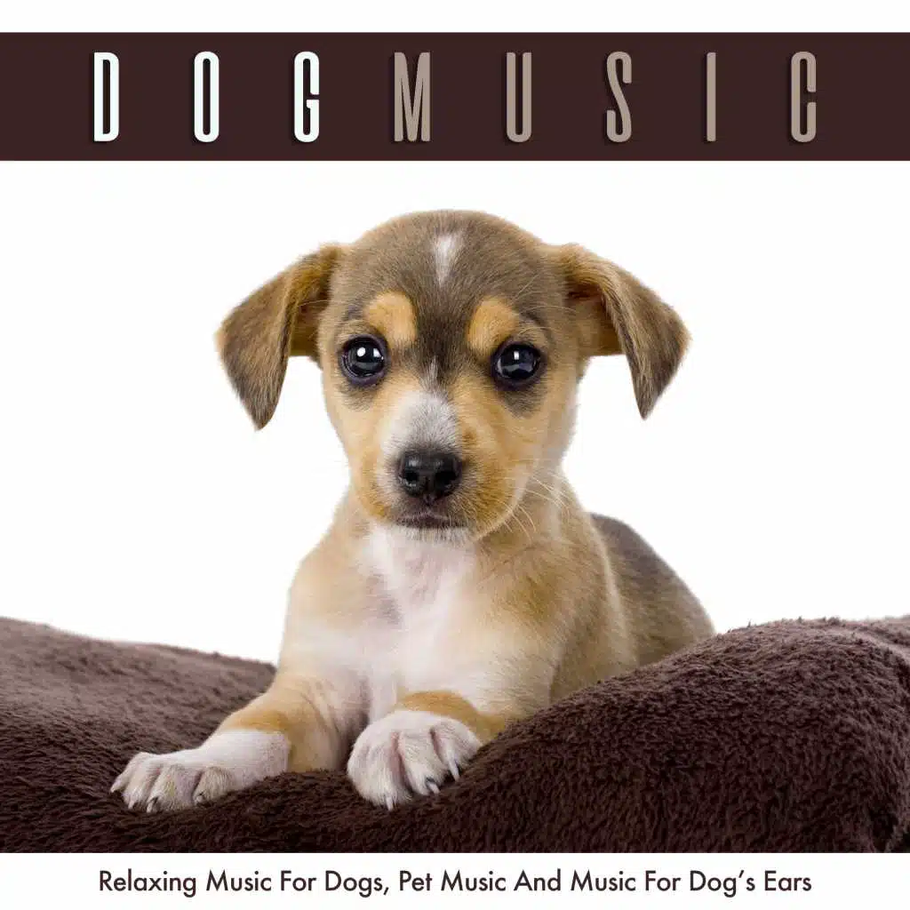 Sleep Music For Dogs