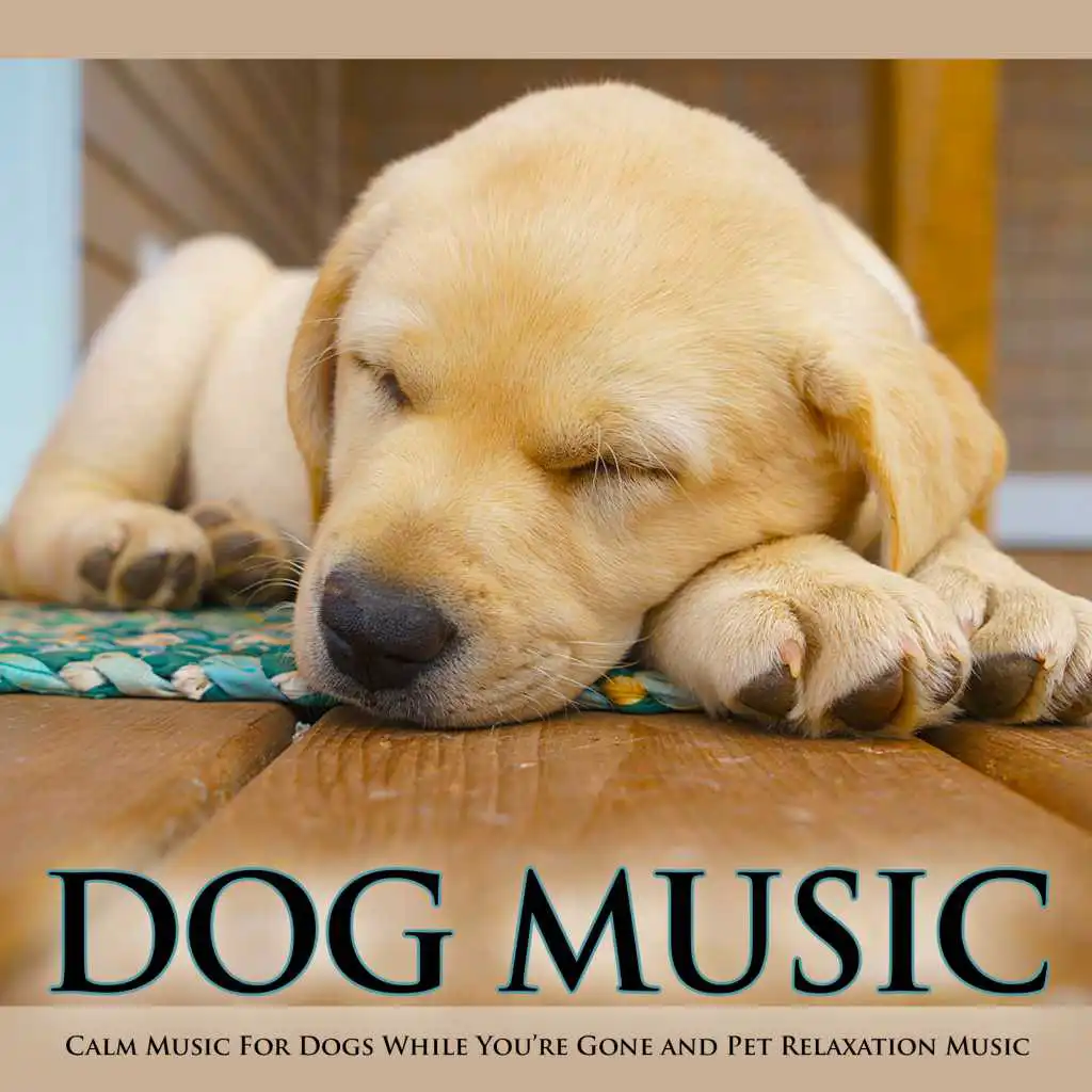 Dog Music: Calm Music For Dogs While You’re Gone and Pet Relaxation Music