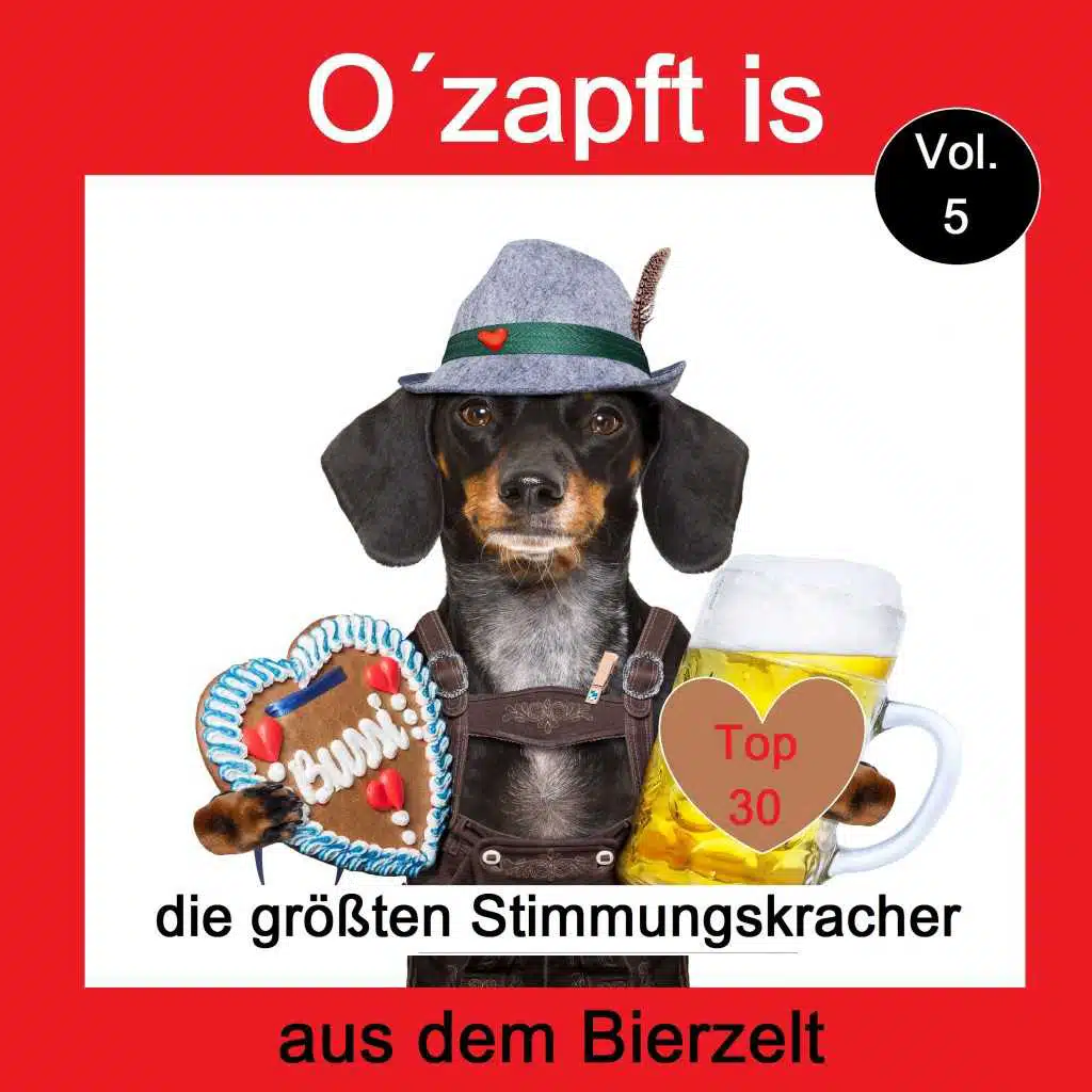 Samba-Medley: Du hast mich heut noch nicht geküßt / Rosy-Rosy / Tanze Samba mit mir (Maxi-Versiion)