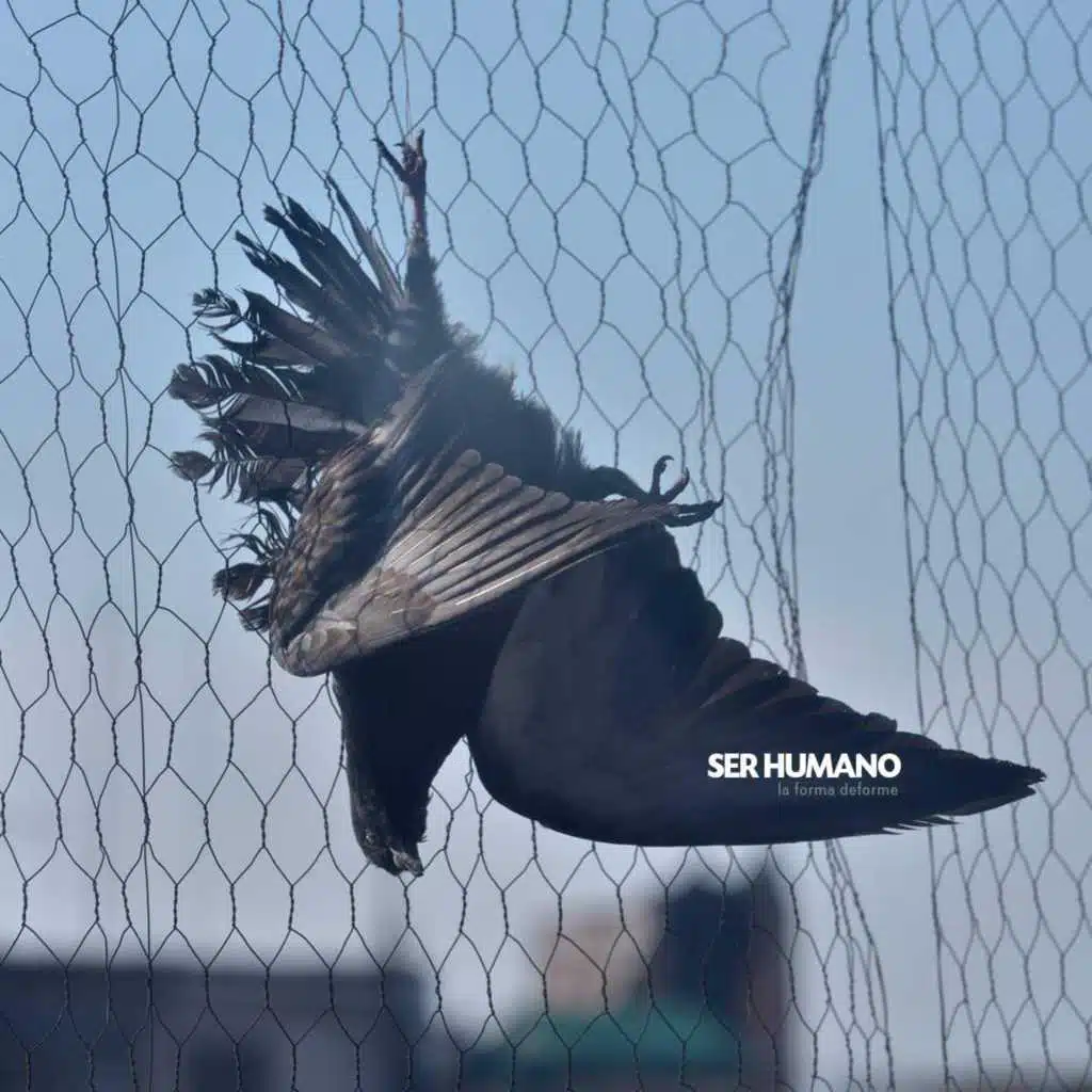 La Forma Deforme (Instrumental)