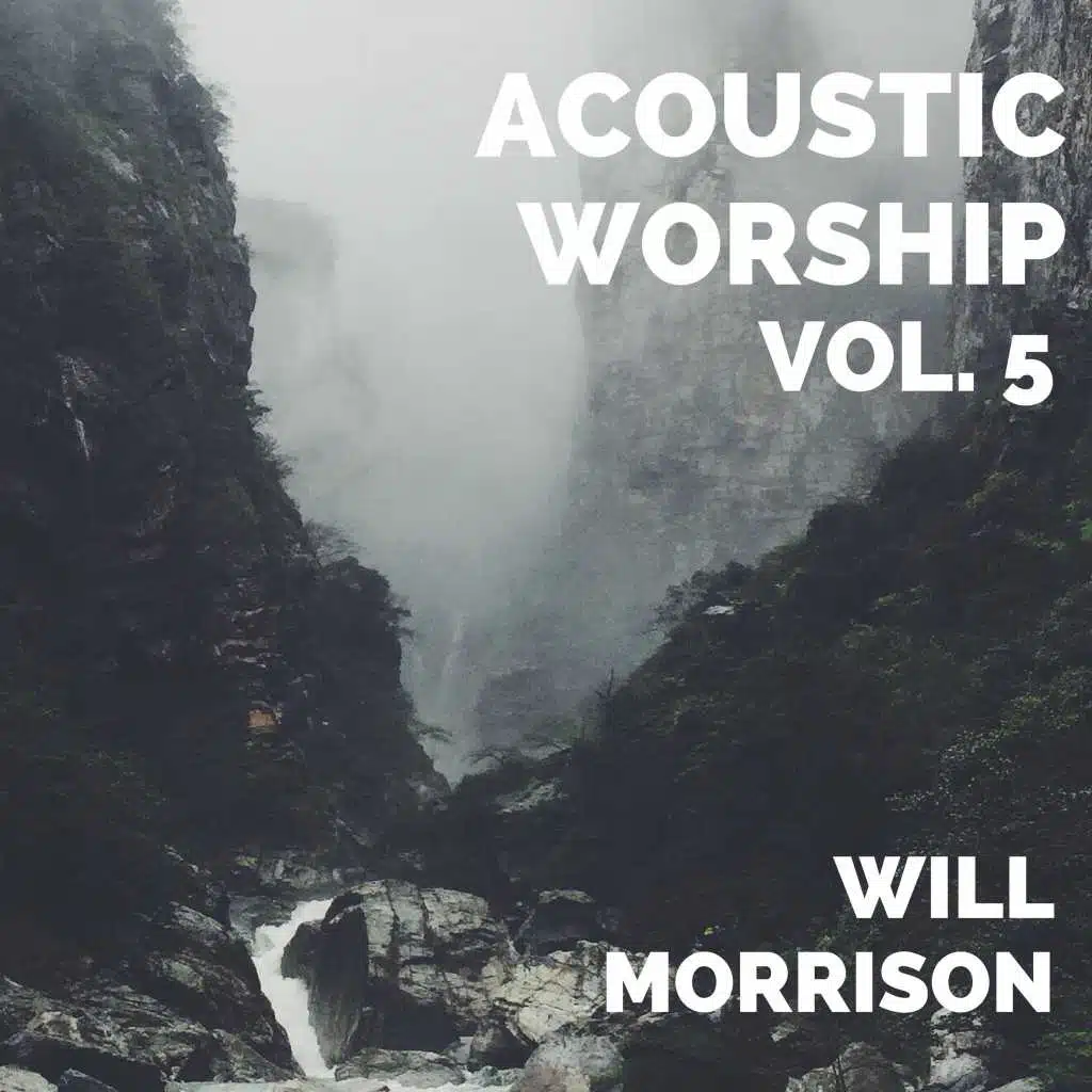 Acoustic Worship, Vol. 5