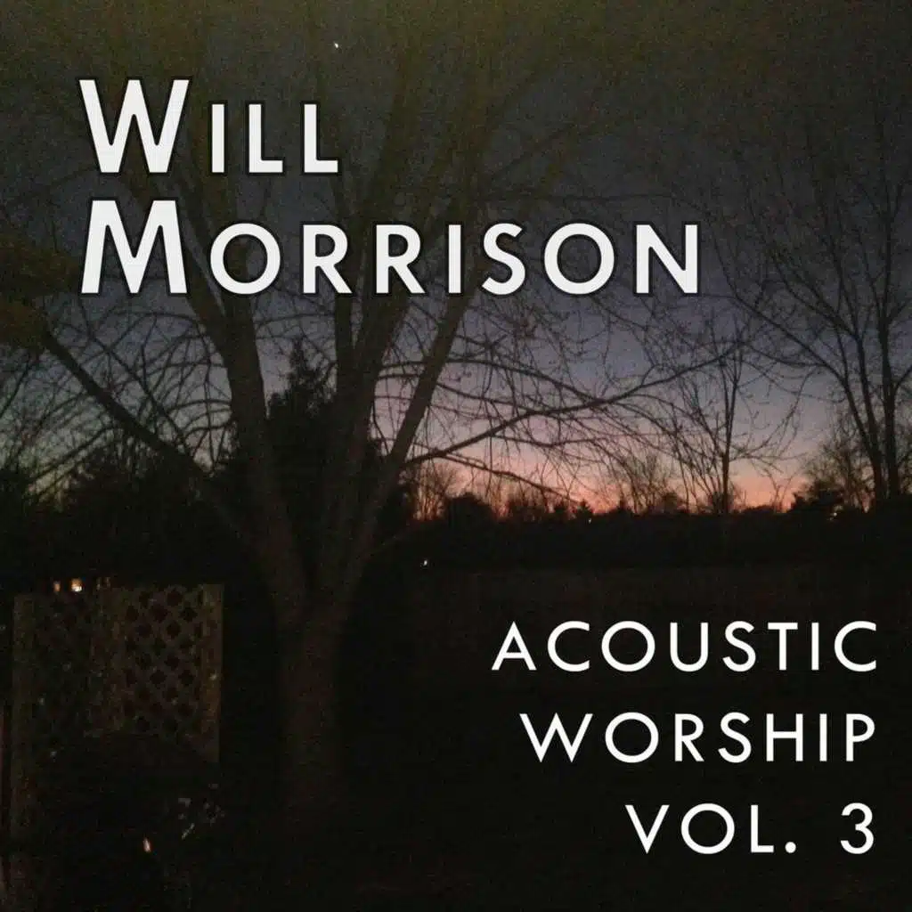 Acoustic Worship, Vol. 3