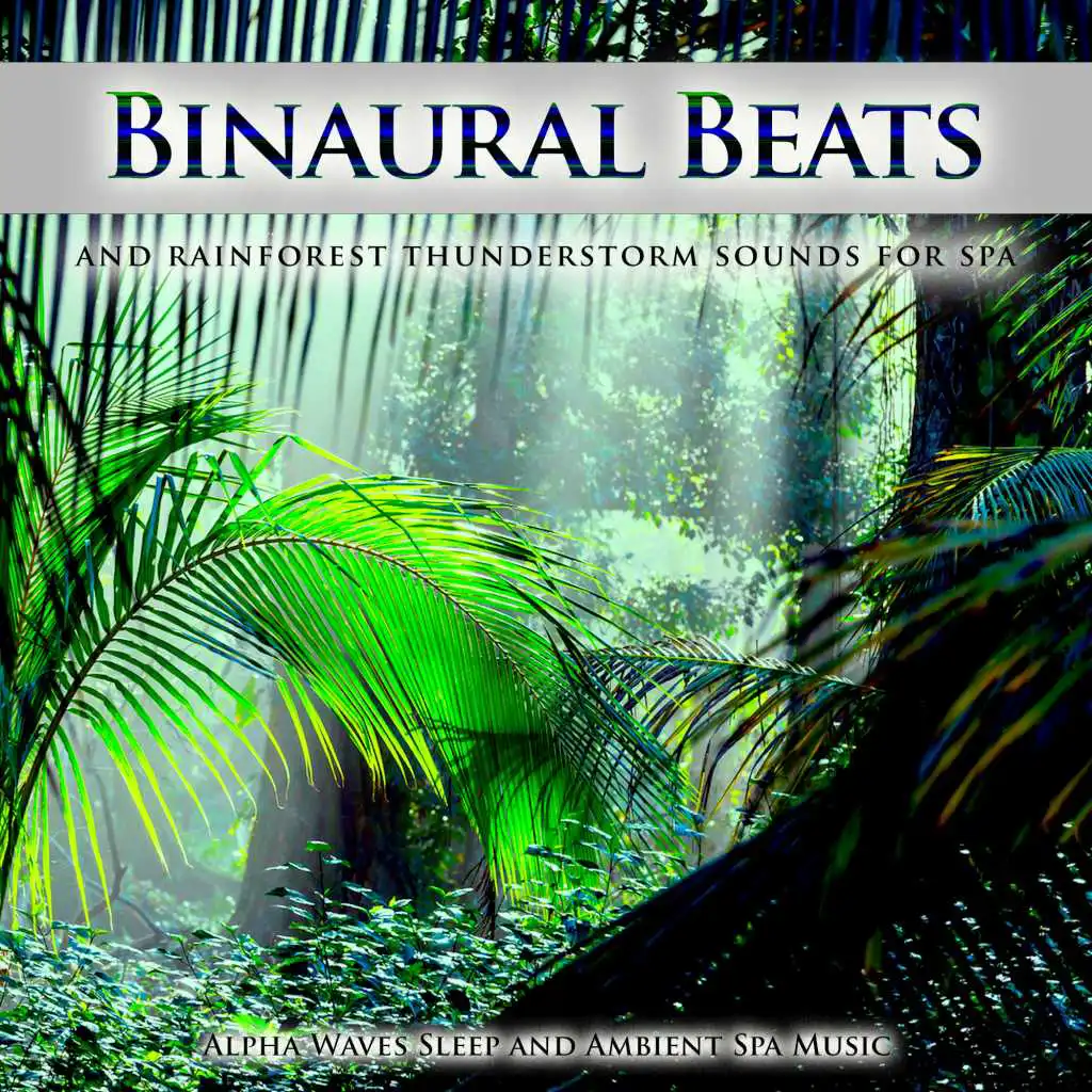 Binaural Beats Spa, Binaural Beats Sleep, Binaural Beats Experience