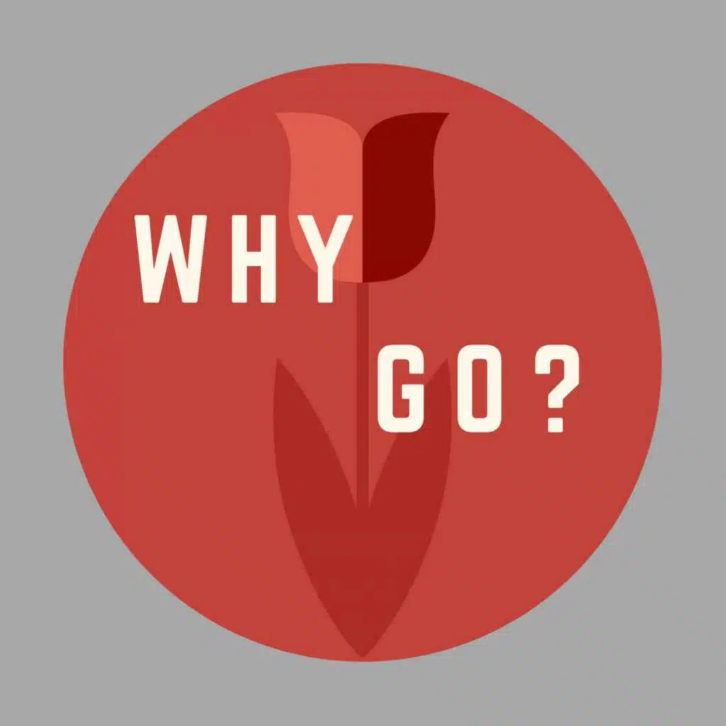 Why Go? Project