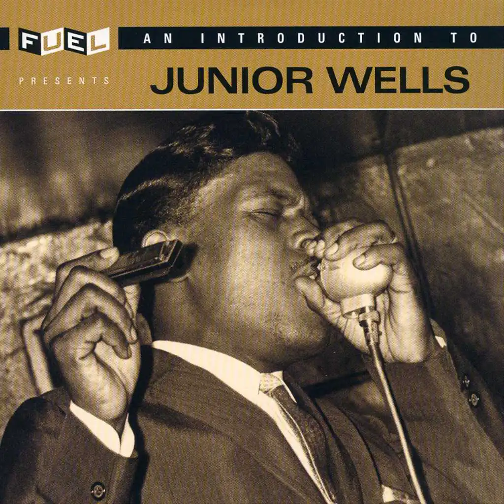 An Introduction To Junior Wells