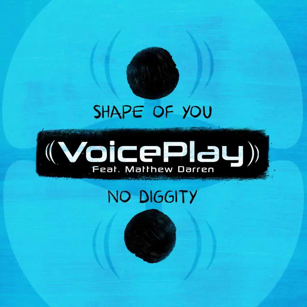 Shape of You No Diggity (feat. Matthew Darren)