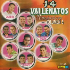 14 Vallenatos Románticos, Vol. 6
