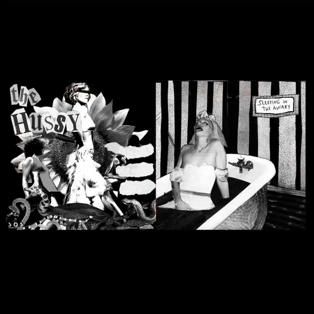 The Hussy & Sleeping in the Aviary