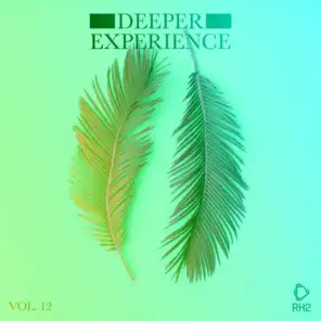 Deeper Experience, Vol. 12