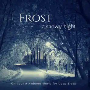 Frost - A Snowy Night (Chillout &amp; Ambient Music For Deep Sleep)