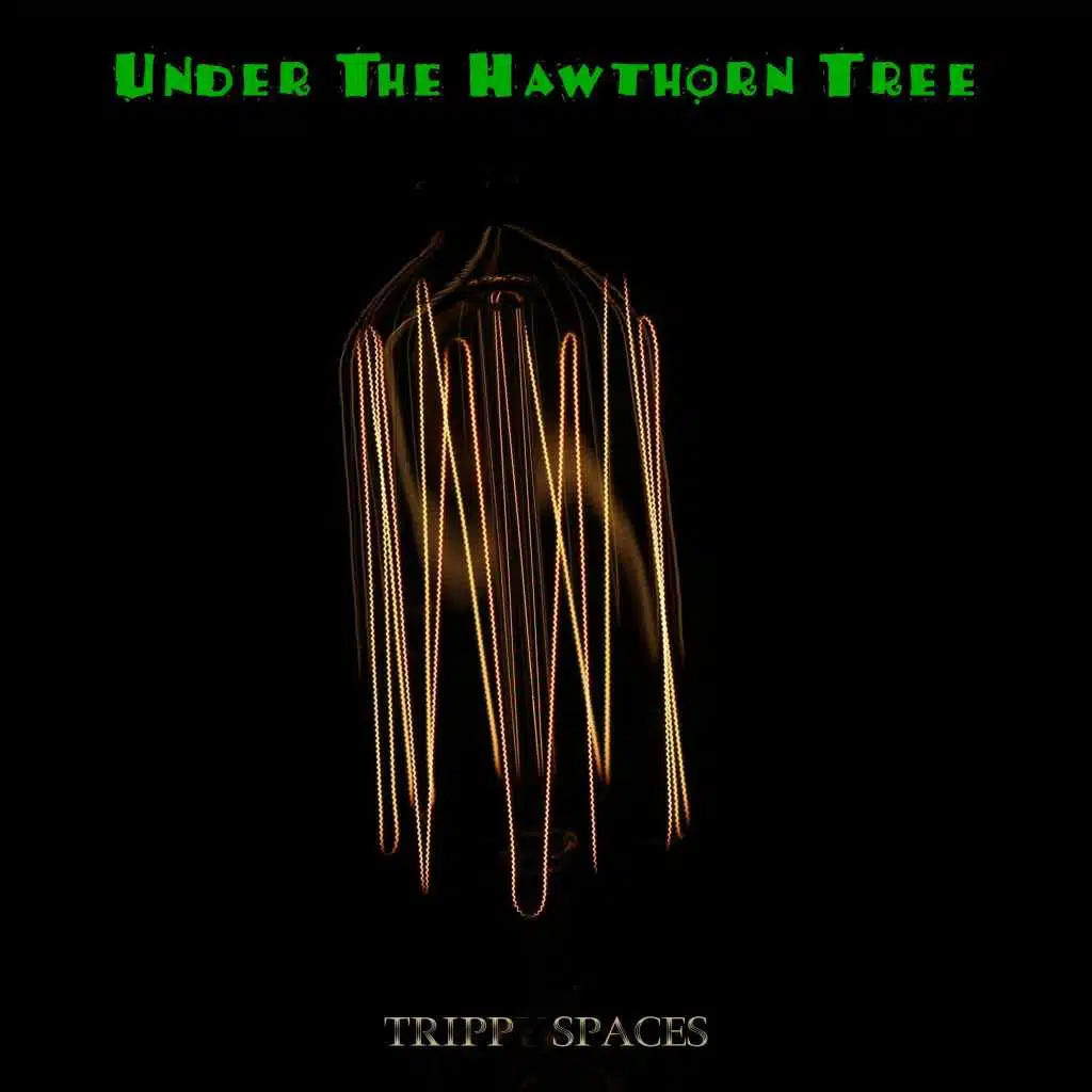 Under the Hawthorn Tree