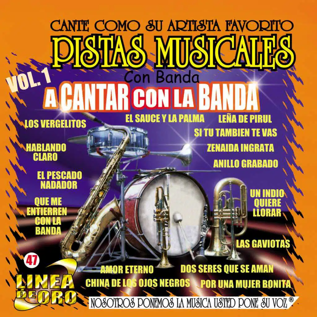 Pistas Musicales Con Banda a Cantar Con la Banda, Vol. 1