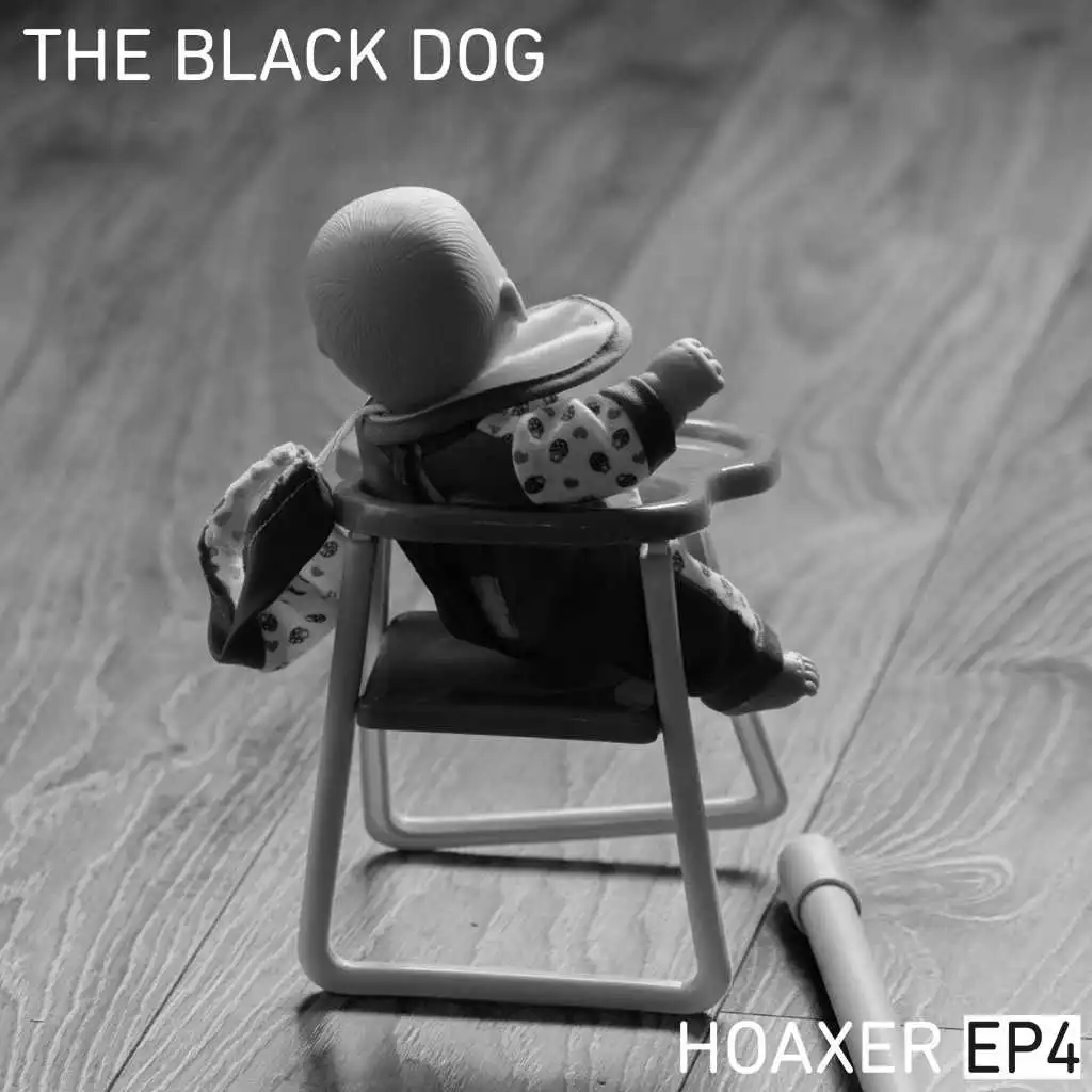 Hoaxer EP 4