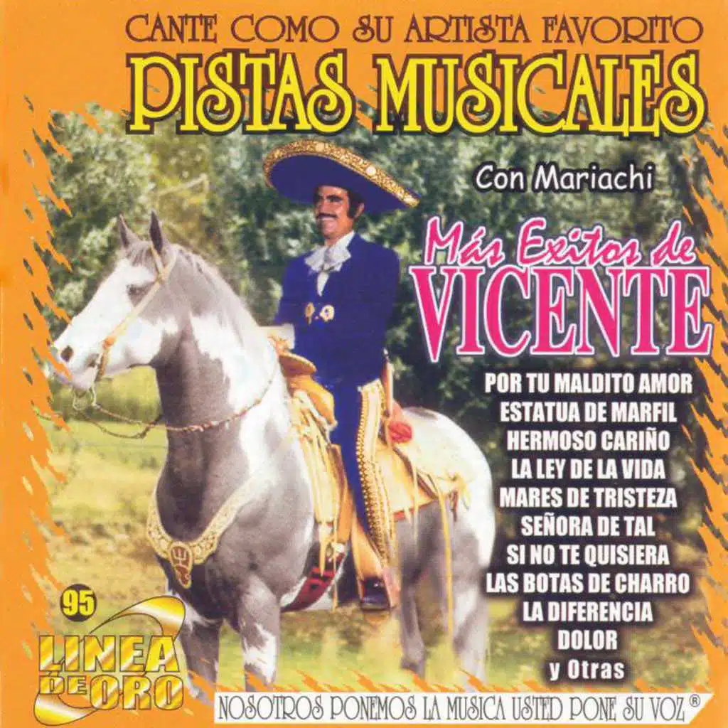 Pistas Musicales Con Mariachi Mas Exitos de Vicente