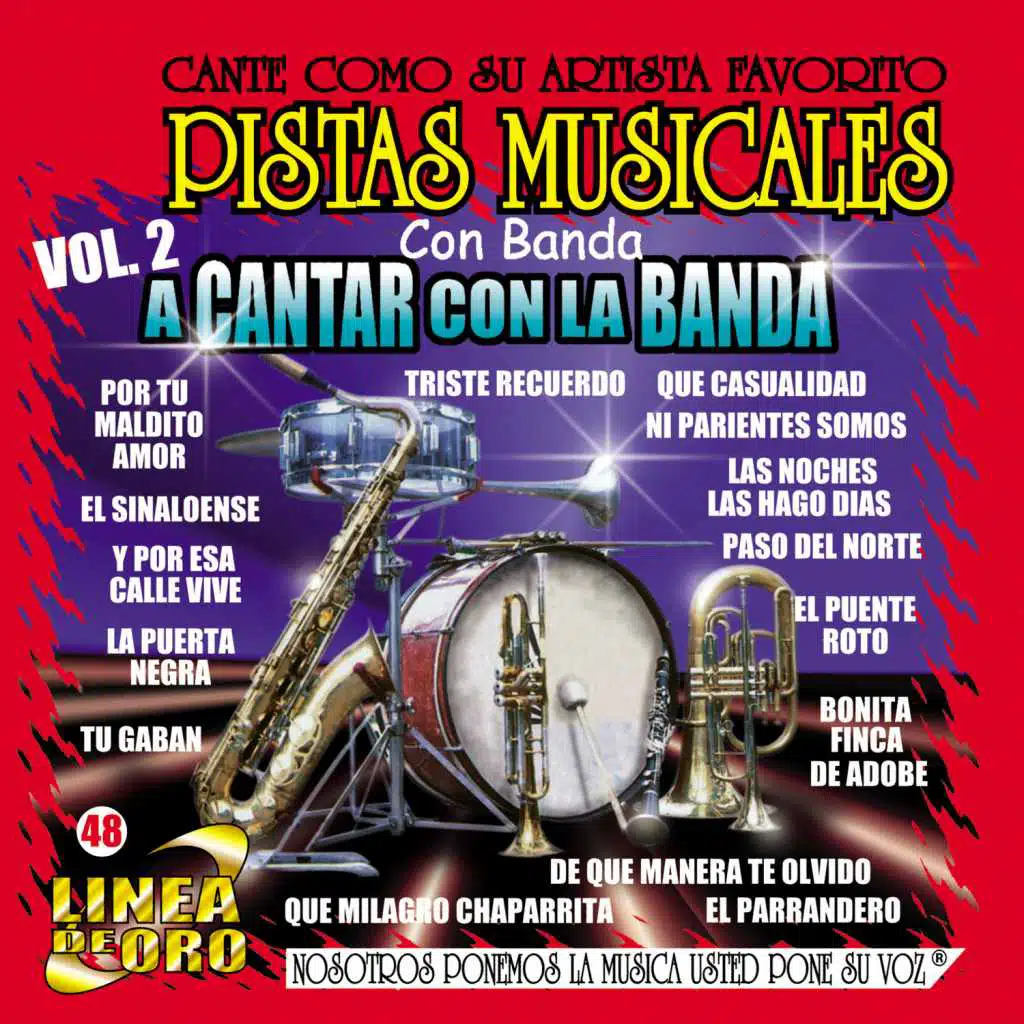 Pistas Musicales Con Banda a Cantar Con la Banda, Vol. 2