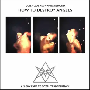How to Destroy Angels (a Slow Fade to Total Transparency) (Recorded Live at the Air Gallery, 24/8/83)